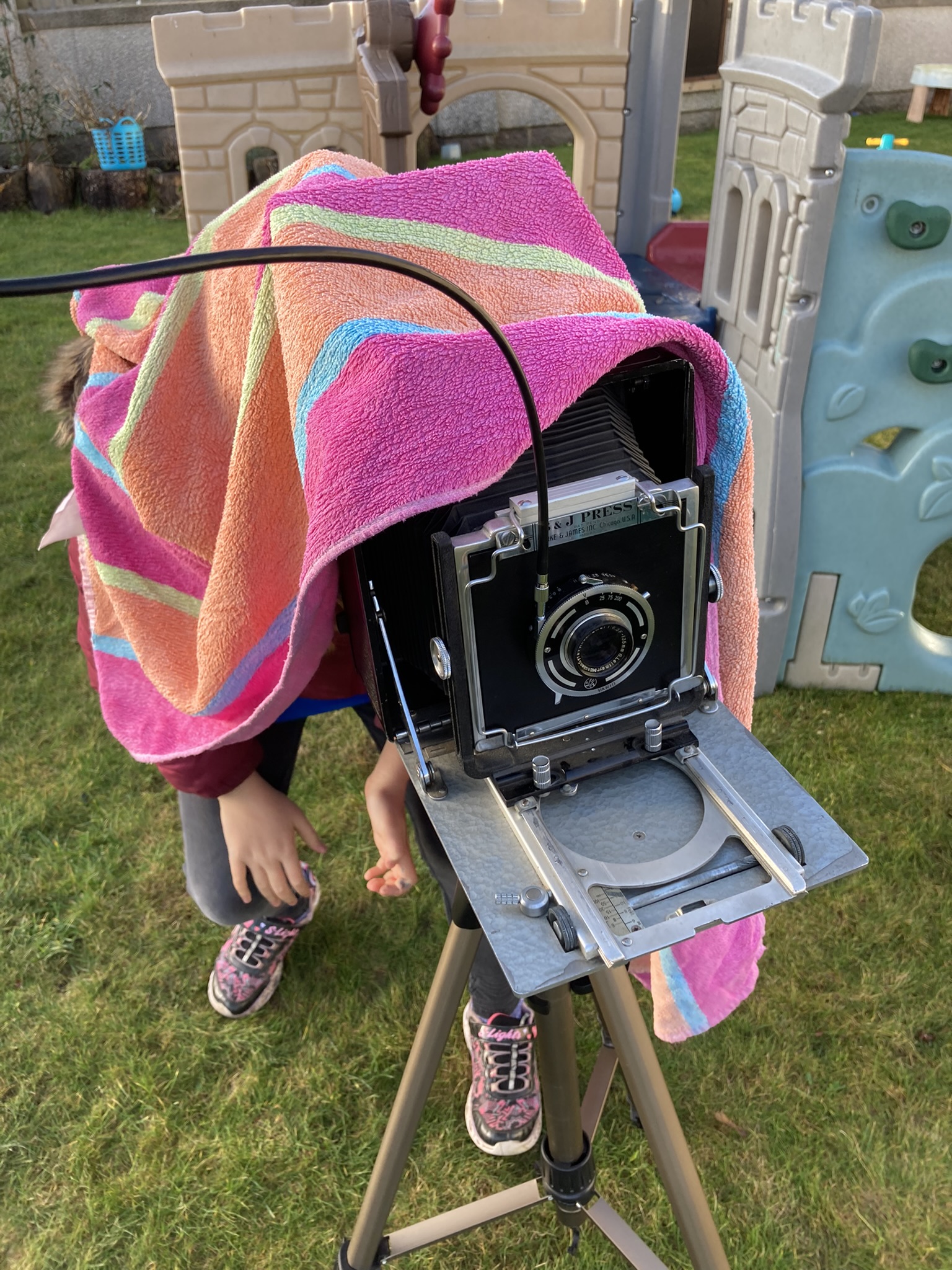 Camera on tripod